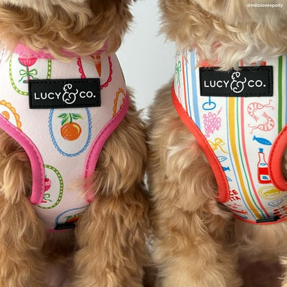 Lucy & Co. Dolce Vita Reversible Dog Harness, Adjustable Comfort Fit with Dual Leash Attachments, Large