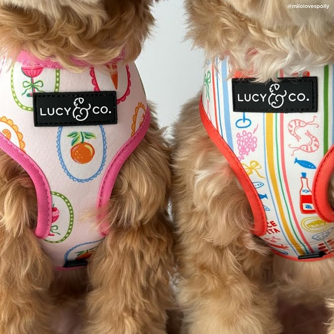 Lucy & Co. Dolce Vita Reversible Dog Harness, Adjustable Comfort Fit with Dual Leash Attachments, Medium
