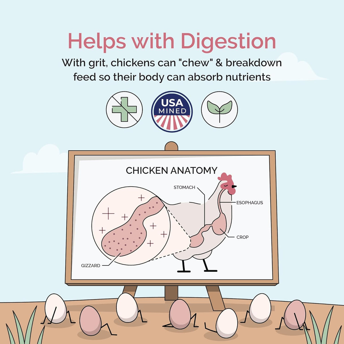 Chick Grit for Baby Chicks - Chickens Age 0-8 Weeks, 100% Natural Mineral Chick Grit Quartzite, Poultry Grit Digestive Aid, USA Mined, 4 lbs