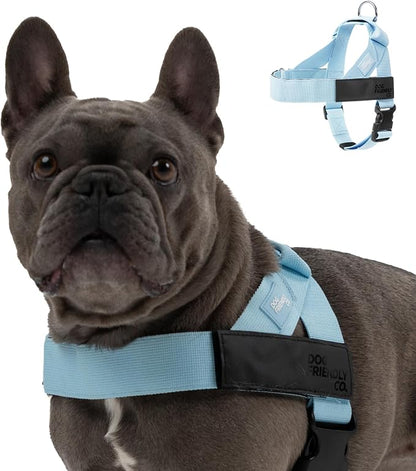 Dog Friendly Co. Dog Harness for Small Dogs (Sky Blue, Extra Small) | One Click Buckle, Chafe Resistant Webbing, Adjustable Neck & Chest, and Heavy Duty D-Ring, Sturdy Comfortable and Easy to Use