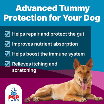K9 Belly Bliss, All-Natural Gut Health for Dogs, Vet Approved Prebiotic for Dogs for Daily Digestive Support and Dog Constipation Relief, Easy to Use Topper for Dry and Wet Food, 30 Scoops.