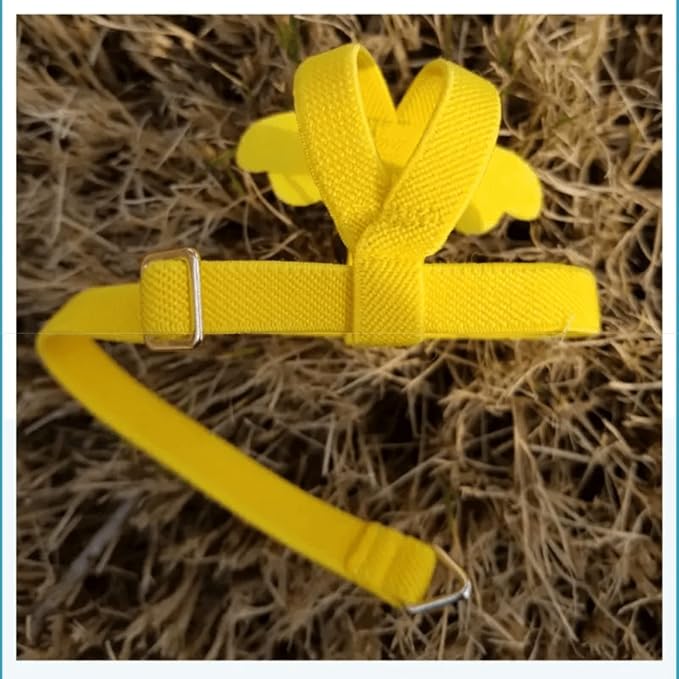 Pet Parrot Bird Harness Leash Adjustable Bird Flying Harness Traction Rope with Cute Wing for Parrots Pigeons Budgerigar Lovebird Cockatiel Mynah Outdoor Training Toy (L, Yellow)