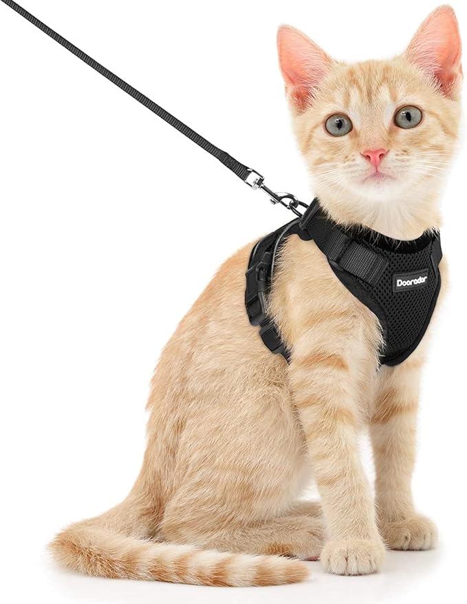 Dooradar Cat Harness and Leash Set, Escape Proof Safe Adjustable Kitten Vest Harnesses for Walking, Easy Control Soft Breathable Mesh Jacket with Reflective Strips for Cats, Black, S
