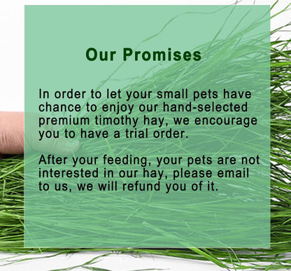 Timothy Hay 1.1LB - Dust Free Natural Green Fresh Food Hay for Rabbits Tortoise Guinea Pig Chinchilla