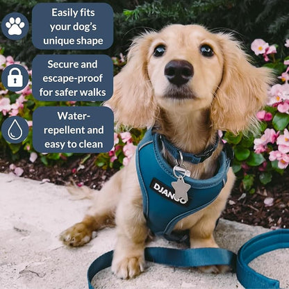 Adventure Dog Harness - Stylish and Durable Medium Dog Harness for Outdoor Adventures and Everyday Wear - Indigo Blue Neoprene Adjustable Harness for Dogs with Reflective Piping, Brass D-Ring