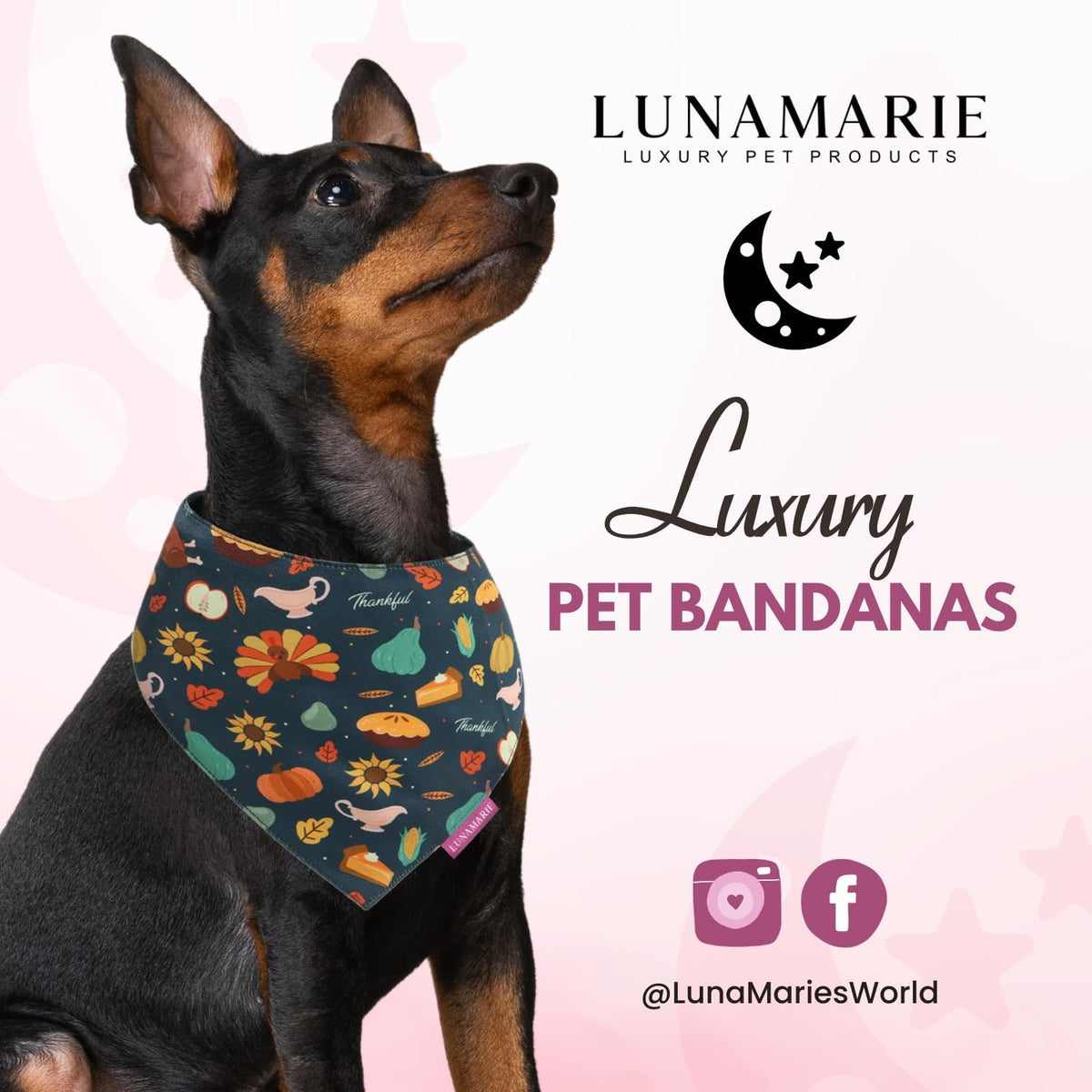 LunaMarie - Luxury Pet Birthday Bandanas -Premium & Silky Poly Fabric | 100% Handmade | Custom Shape Dual Layered (Thanksgiving, Large)