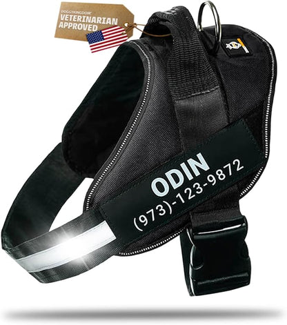 Personalized Dog Harness with Custom Name Patches, Adjustable Reflective No Choke Dog Vest with Handle for Small Sized Dog, Black, S