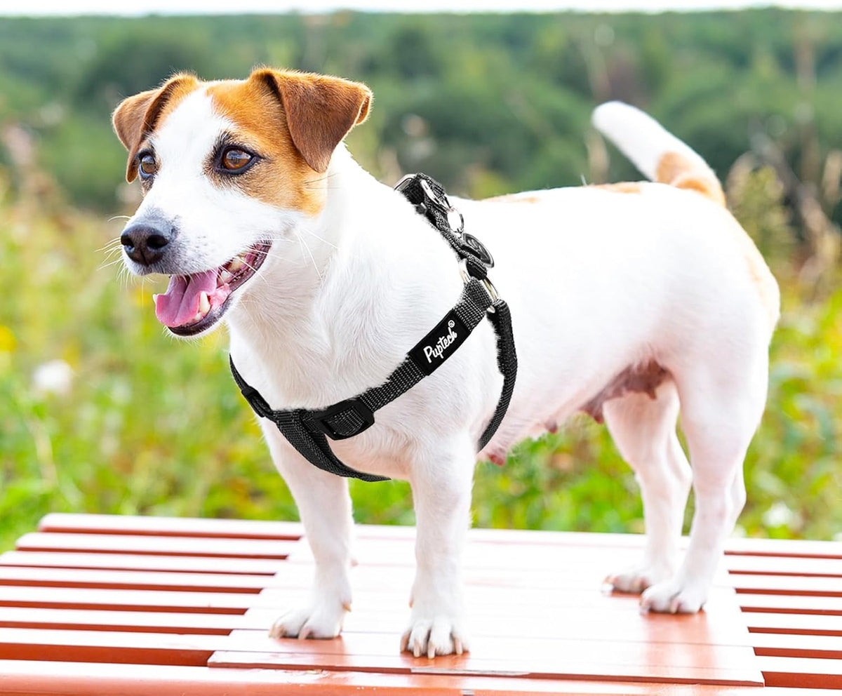 PUPTECK No Pull Dog Harness Soft Adjustable Basic Nylon Step in Puppy Vest Outdoor Walking with ID Tag, Reflecive Black, S