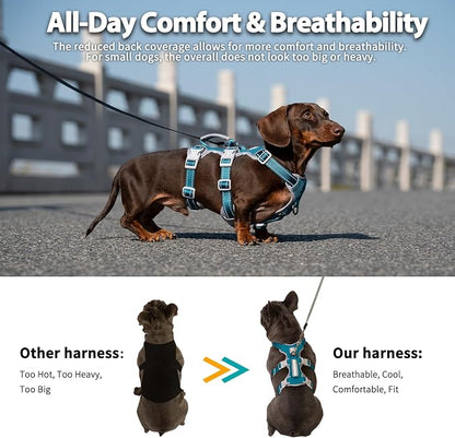 Escape Proof Dog Harness, Escape Artist Harness, Fully Reflective Harness with Padded Handle, Breathable, Durable, Adjustable Vest for Small Dogs Walking, Training, and Running Gear (Teal,S)