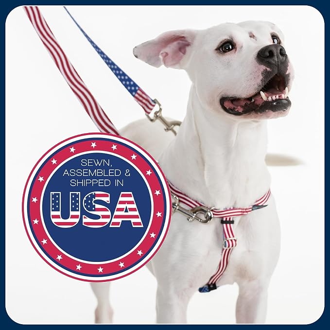 2 Hounds Design Freedom No Pull Dog Harness and Leash, 5/8" SM, Neon Green | Promotes Easy Walking & Comfortable Control, Secure Fit, Adjustable Harness and Leash Set for Small Sized Dogs, Made in USA