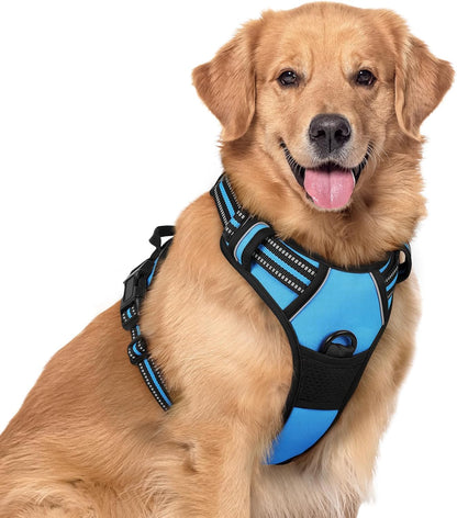 rabbitgoo Dog Harness No Pull with 2 Leash Clips, Adjustable Soft Padded, Reflective Oxford No Choke Pet Vest with Easy Control Handle for Large Dogs, Blue, XL