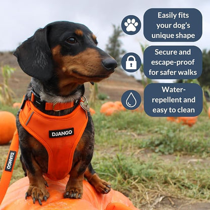Adventure Dog Harness - Stylish, & Durable Medium Dog Harness for Outdoor Adventures and Everyday Wear - Sunset Orange Neoprene Adjustable Harness for Dogs with Reflective Piping & Brass D-ring