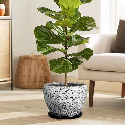 Ceramicfor Ceramic Plant Pot 8 Inch - Ceramic Planter for Indoor Plants, Round Flower Pot with Drainage Hole and Saucer, Glaze White and Black