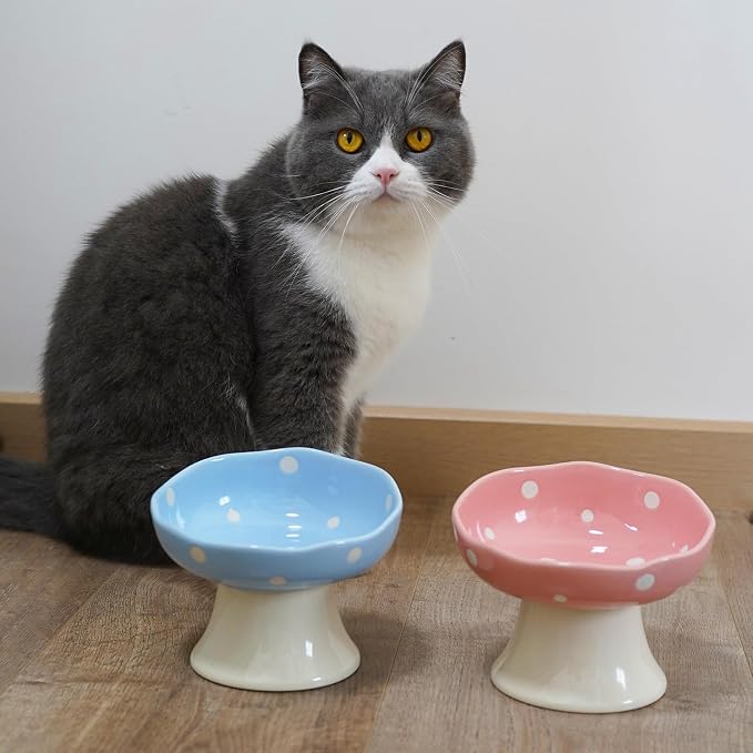 Blue Mushroom Cat Bowl, Elevated Ceramic Bowl for Cats | Cute Mushroom Design, Elevated, Ceramic, Whisker Friendly, Anti Vomiting