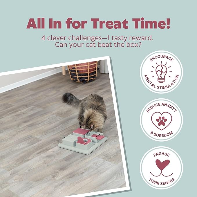 TRIXIE Cat Activity Poker Box Strategy Game, Slow Feeder, Interactive, Treat Toy,All Breed Sizes