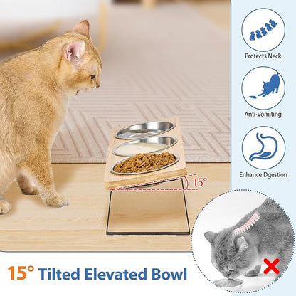 Elevated Cat Bowls, 15° Tilted Raised Cat Food and Water Bowl, Anti-Vomit & Whisker-Friendly Design, 3 Stainless Steel Bowls for Cats and Small Dogs