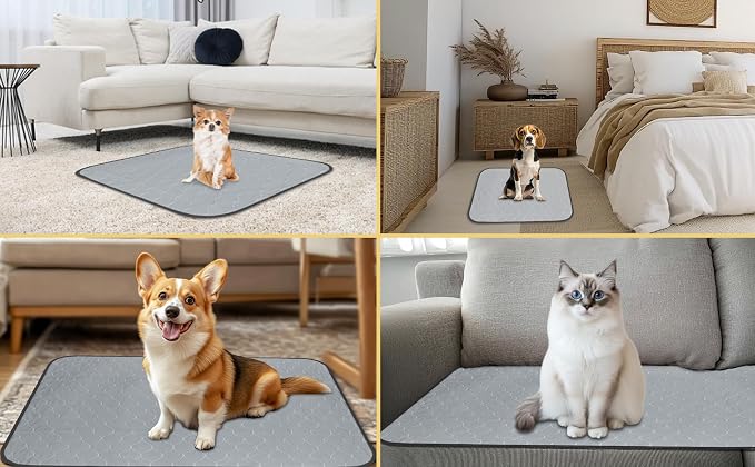 DAHAPYBOO Extra Large Washable Pee Pads for Dogs 36x72,4 Pack | Reusable Puppy Pads for Dogs Non-Slip Waterproof Pet Training Pads for Crate, Playpen, Bed, Sofa,Whelping Box, Potty Training