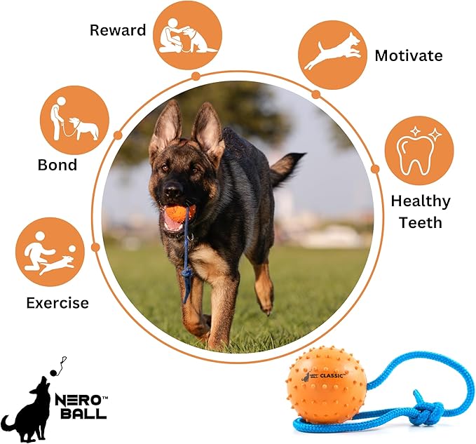 The Nero Ball Classic TM - K-9 Ball On a Rope Reward and Exercise Toy - Police K-9 - Schutzhund