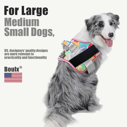 Bolux Dog Harness, No-Pull Reflective Dog Vest, Breathable Adjustable Pet Harness with Handle for Outdoor Walking - No More Pulling, Tugging or Choking (Large (Pack of 1), OilPainting)