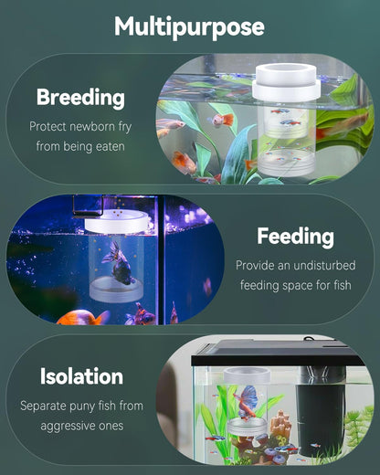 Pawfly Breeder Box for Fish Tank, Aquarium Fish Breeding Box, Floating Guppy Breeder Box, Baby Fish Separator for Aquarium, Plastic Hatchery Incubator Isolation Box for Shrimp Betta Clownfish, Medium