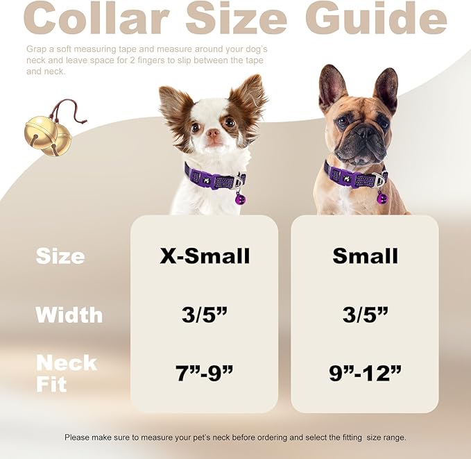 Reflective Dog Collar with Bell - Adjustable Nylon Puppy Collar for Small Dogs, Chihuahua Pomeranian - Night Safety (Purple XS)