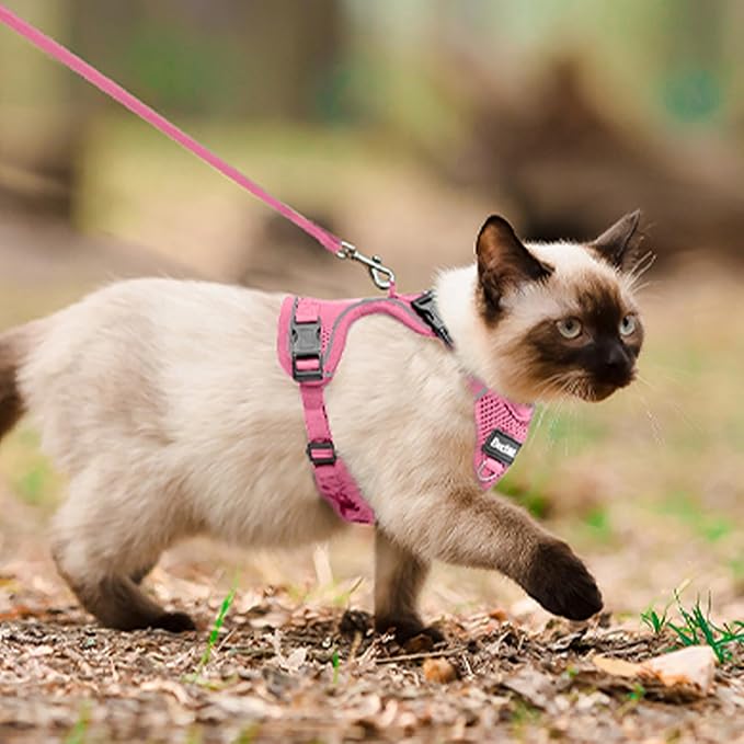 Cat Harness and Leash for Walking, The Upgrade Can be Adjusted in Four Directions and Breathable Cat Harness for Anti Escape That can be Fitted and Positioned, Reflective Strips Harness, Pink,M