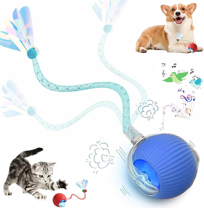 Speed 2.0 Tail Interactive Cat Toys for Indoor Cats, Chirping & Motion Activate Ca t Toy, Smart Kitten Rolling Ball Moving Ball Toys, Rechargeable Dog Cat Bal l for Enrichment Exercise (Blue)