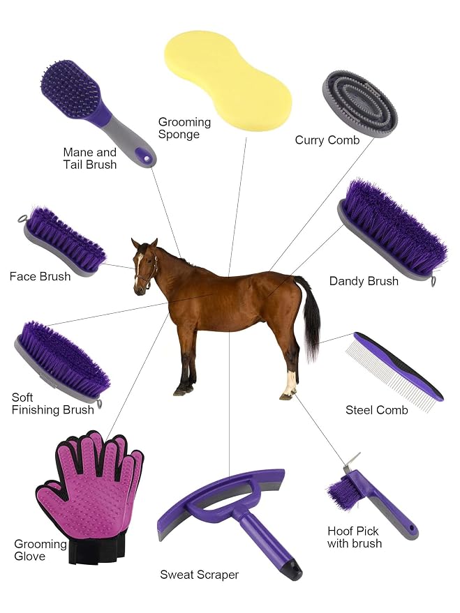 Horse Grooming Kit (12-Piece): Brushes, Storage Bag, Sweat Scraper, Mane Comb, Grooming Gloves - Purple Horse Gifts for Girls