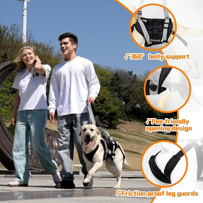 Dog Lift Harness for Large Dogs,Full Body Dog Sling Carrier, Black, XXL | Help Support Big, Elderly Pet with Arthritis, Front/Rear Legs Assistance with Handle, for Lifting Injured Dogs Up Stairs