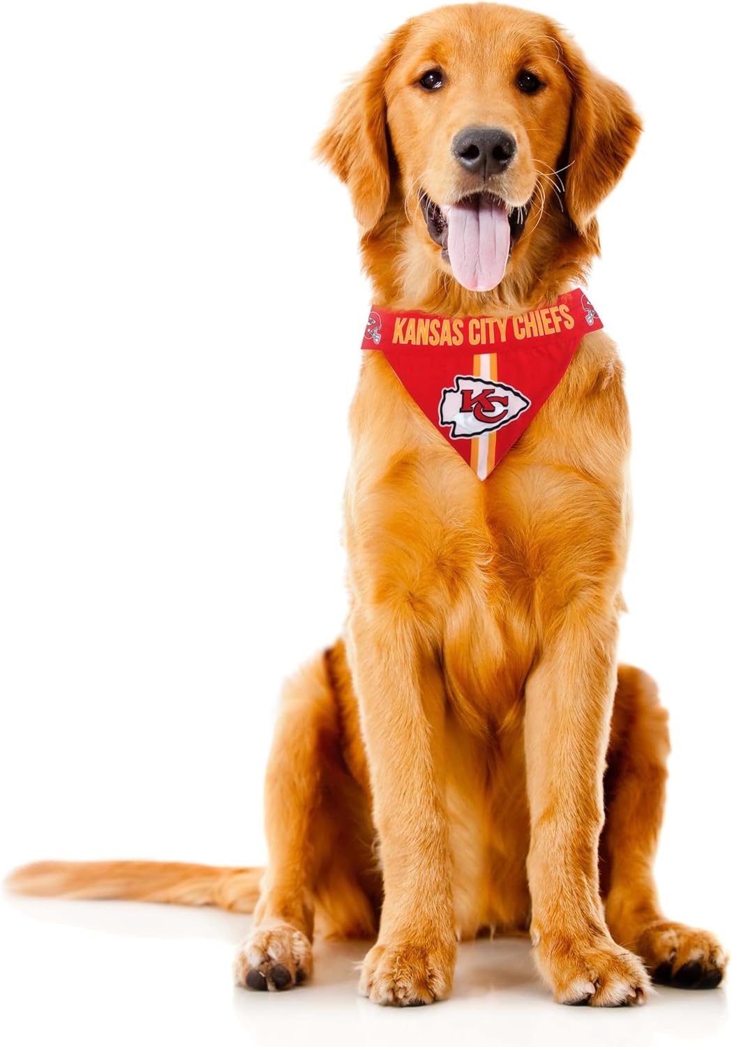 Littlearth NFL Pet Bandana - Reversible