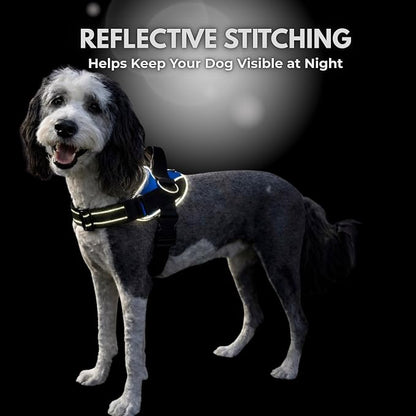 ShawnCo Essential Dog Harness, No-Pull Pet Vest (Orchid,S) | 3 Leash Clips, Easy On, No-Choke, Reflective, Adjustable Fit, Padded Comfort, Control Handle, For Small, Medium & Large Dogs