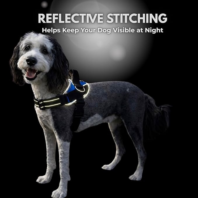 ShawnCo Essential Dog Harness, No-Pull Pet Vest (White Sharks,XL) | 3 Leash Clips, Easy On, No-Choke, Reflective, Adjustable Fit, Padded Comfort, Control Handle, For Small, Medium & Large Dogs