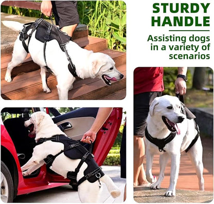 PUPTECK Dog Lift Harness for Medium Large Sized Dog, Rehabilitation Sling for Hind Leg Support, Multifunctional Mobility Assistance Harness for Old, Disabled, Joint Injuries, Paralysis Dogs, Black L