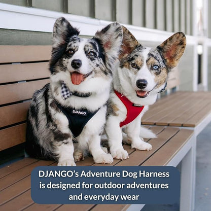 Adventure Dog Harness - Stylish and Comfortable Medium Dog Harness for Outdoor Adventures and Everyday Wear - Black Neoprene Adjustable Harness for Dogs with Reflective Piping and Brass D-Ring