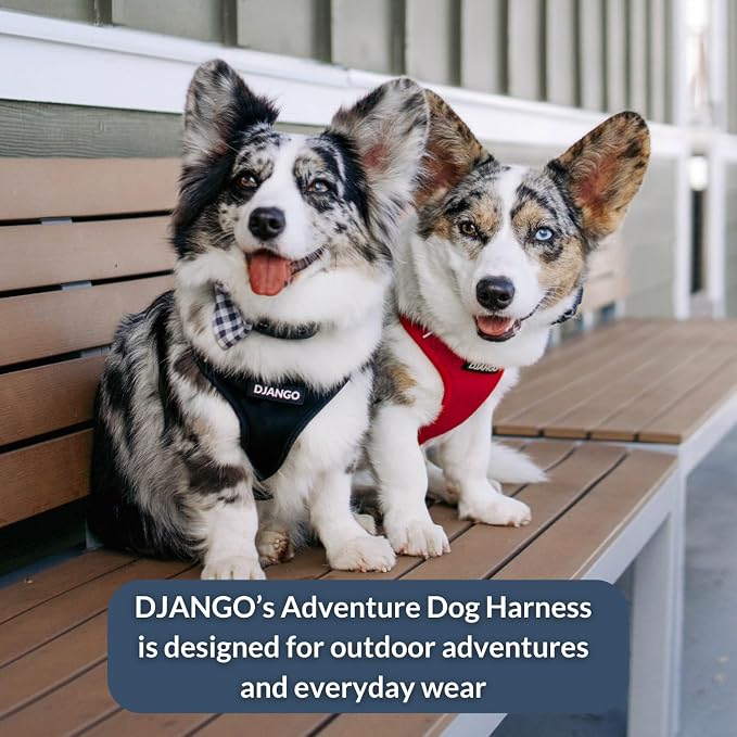 Adventure Dog Harness - Stylish and Durable Small Dog Harness for Outdoor Adventures and Everyday Wear - Red Neoprene Adjustable Harness for Dogs with Reflective Piping, Solid Brass D-Ring