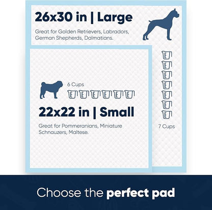 American Kennel Club Scented Puppy Pads –Large Size – 30x26 Ultra Absorbent 6-Layer Pee Pads with Odor Control & Quick-Dry Gel – Fresh Scent – 50 Count (Fresh Scented, 26x30)