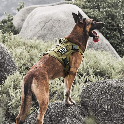 OneTigris Tactical Dog Harness Vest No-Pull Service Dog Vest for Large Dogs | 1000D Pullable Nylon, with Control Handle and Hook & Loop Panels, Easy On & Off, Adjustable for Walking Training Green XL