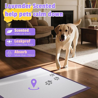 Boscute Lavender Scented Thicken 6 Layers Heavy Absorbent 30"x36" Pet Training Dog Pee Pads, Extra Large Polymer Leak-Proof Quick Dry Puppy Pee Pads, Disposable Pee Pads for Dogs Cats Rabbit 150Counts | Heavy Absorbent up to 7 Cups, Quick Dry, for Dogs...