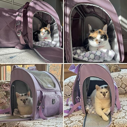 Expandable Cat Carrier Backpack for Large Cats - Airline Approved Pet Carrier Backpack for Small Dogs, Hiking & Travel, Waterproof with Breathable Mesh, 14lbs Capacity (Plum, Standard)