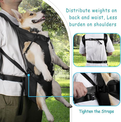 PetBonus Pet Front Dog Carrier Backpacks, Adjustable Pet Backpack, Legs Out Easy-fit Puppy Chest Carrier for Medium Small Dogs, Hands Free for Hiking, Cycling (Black, XL) | Hands Free, Adjustable, Safety Strap, Walking Hiking Cycling Motorcycle bag, Fo...