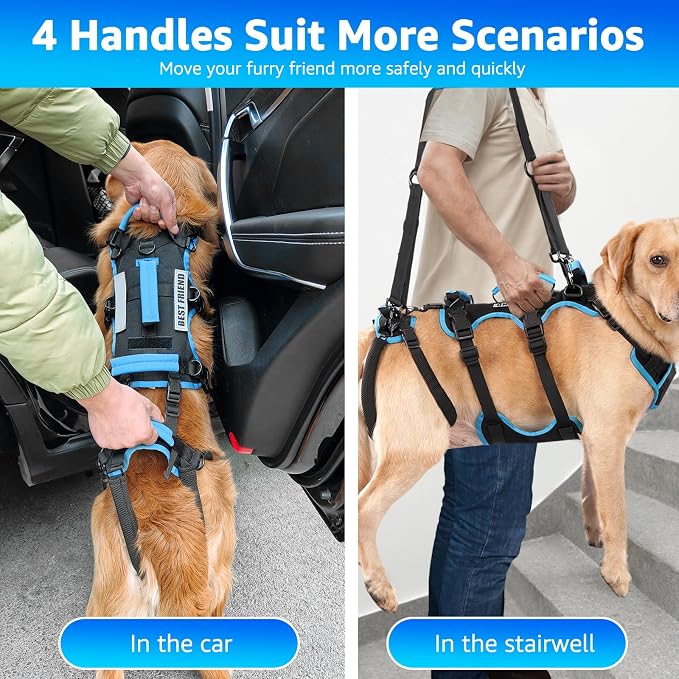 Dog Lift Harness for Medium Male Dogs Friendly, 2 in 1 Detachable Support Harness, Full Body Dog Carrying with 4 Handles for Old/Disabled/Joint Injuries Dogs (Black, Medium)