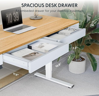 FLEXISPOT Q5 Standing Desk