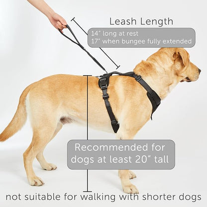 TUG Grab Dog Harness with Built-in Magnetic Traffic Leash (Large/Black) | Padded Magnetic Traffic Leash | Dual Leash Clips | 4-Point Adjustable Fit | Durable Nylon