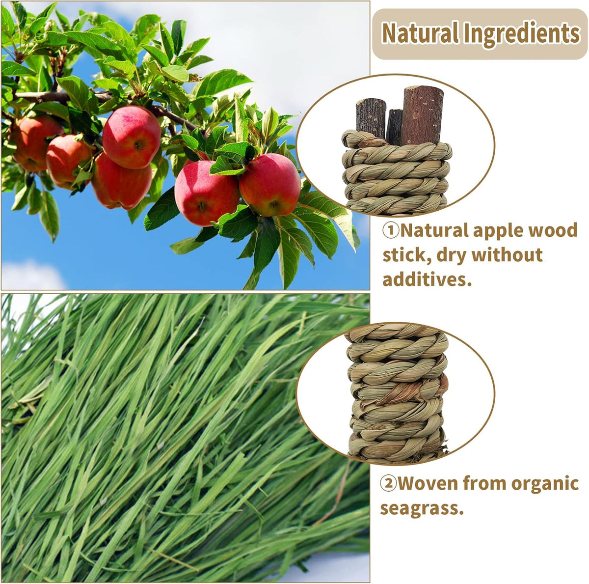 Fhiny 12 PCS Guinea Pigs Chew Toys, Natural Apple Branch Seagrass Molar Sticks for Teeth Bunny Chew Toys Cage Accessories for Guinea Pigs Rabbit Bunny Hamster Chinchilla