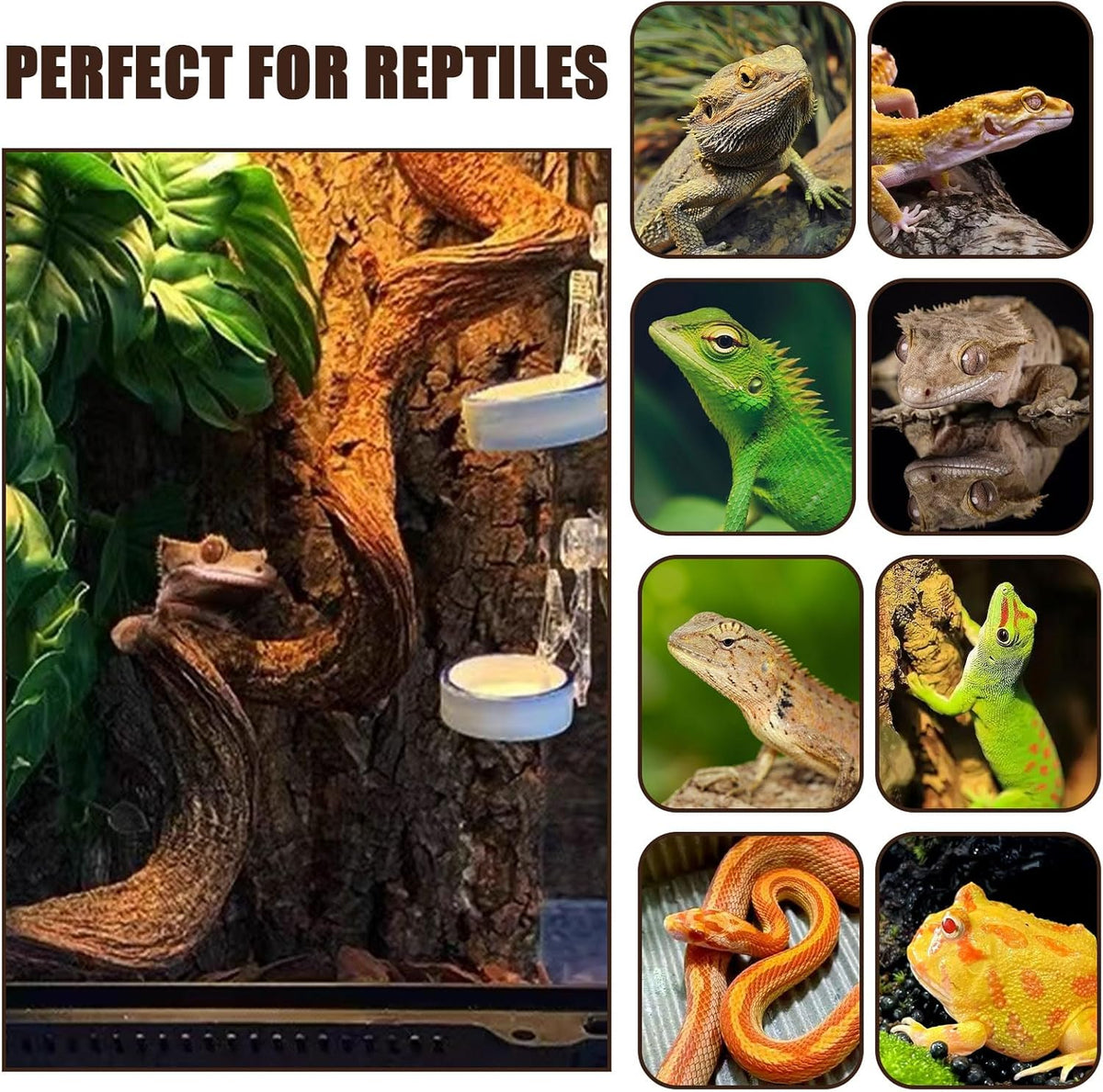 BNOSDM 3Pcs Reptile Climbing Branches Decor,Snake Climbing Branch,Gecko Climb Wood,Lizard Forest Branch,Tank Habitat Tree Trunk Decorations for Bearded Dragons,Chameleons,Spider,Frogs (L)