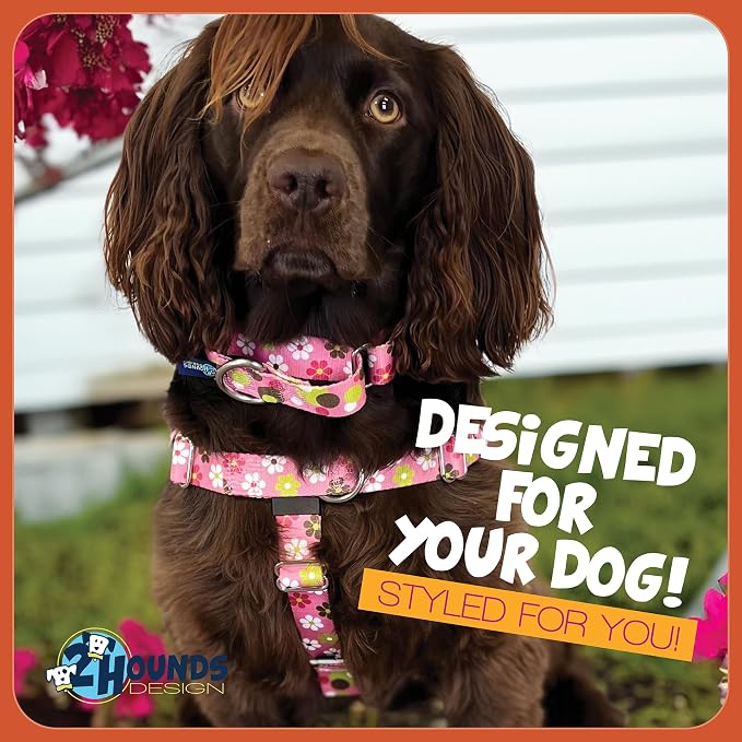 2 Hounds Design - Freedom No-Pull Harness & Training Leash in Pink Daisy | Dual Leash Loops, No Pulling on Walks | Lined to Prevent Chaffing | for Large Sized Dogs (Size L, Chest 28”- 32”)