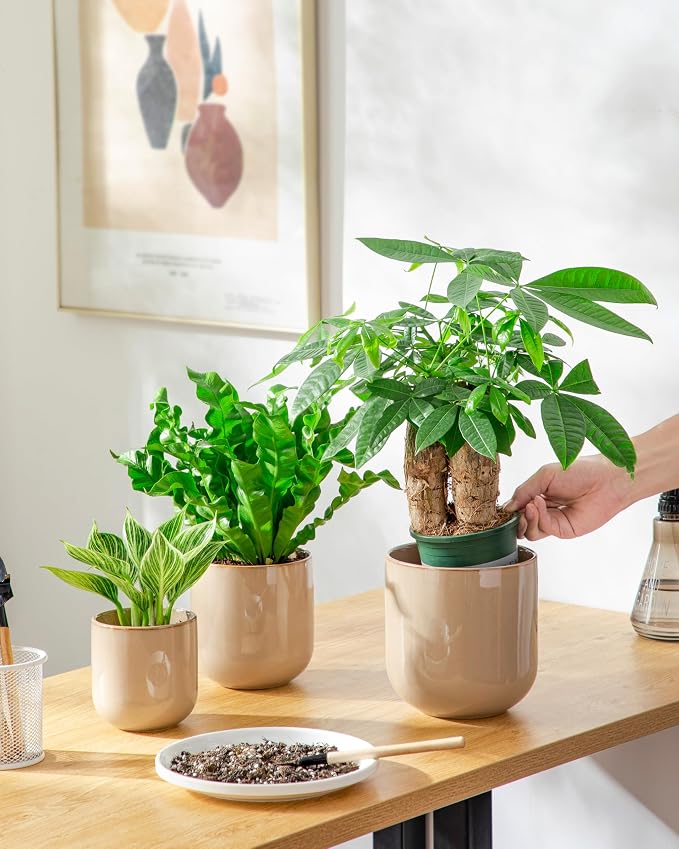 vancasso Ceramic Plant Pots, 4+5+6 inches, Set of 3, Planters with Drainage Hole, Flower Pots Planters Pots for Indoor Plants, Modern Indoor Decorative Garden Pot, Home Decor, Brown
