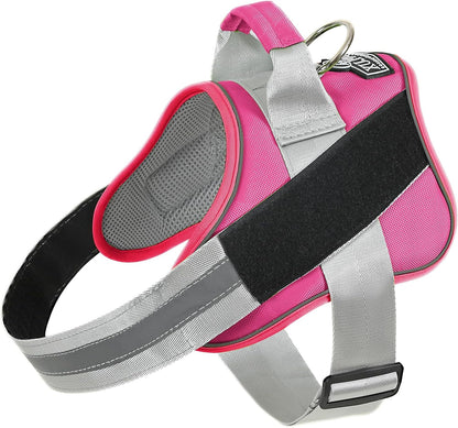 Bolux Dog Harness, No-Pull Reflective Dog Vest, Breathable Adjustable Pet Harness with Handle for Outdoor Walking - No More Pulling, Tugging or Choking (Fuchsia, Small (Pack of 1))