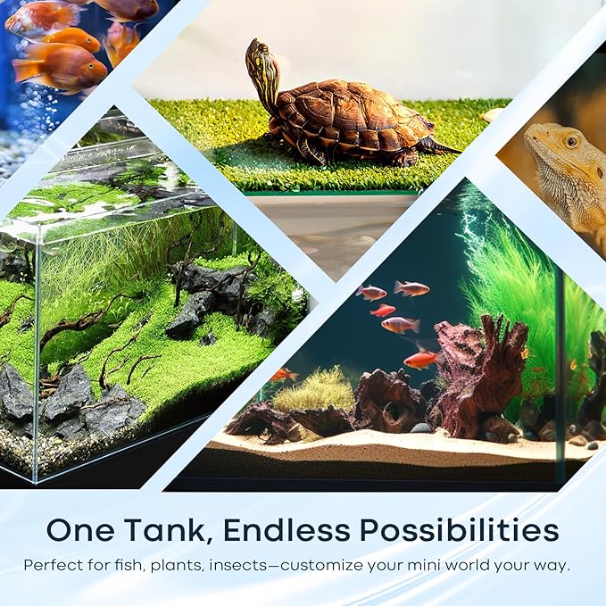 3 Gallon Glass Fish Tank Cube, Small Aquarium Fish Bowl for Betta Goldfish Snails Shrimp Aquatic Planting, Easy to Maintain Ultra Clear Rimless Design for Desktop Small Spaces