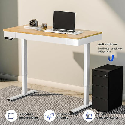 FLEXISPOT Q5 Standing Desk